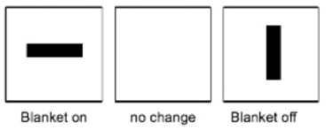 <p>Experiment: paard deken</p>