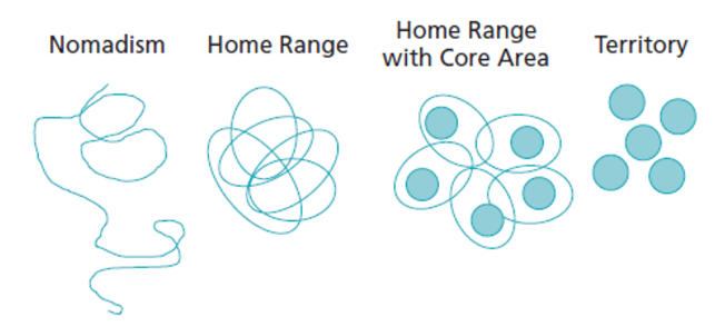 <p>-nomadism: move around in unpredicted ways</p><p>-home range</p><p>-home range with core area</p><p>-territory</p>