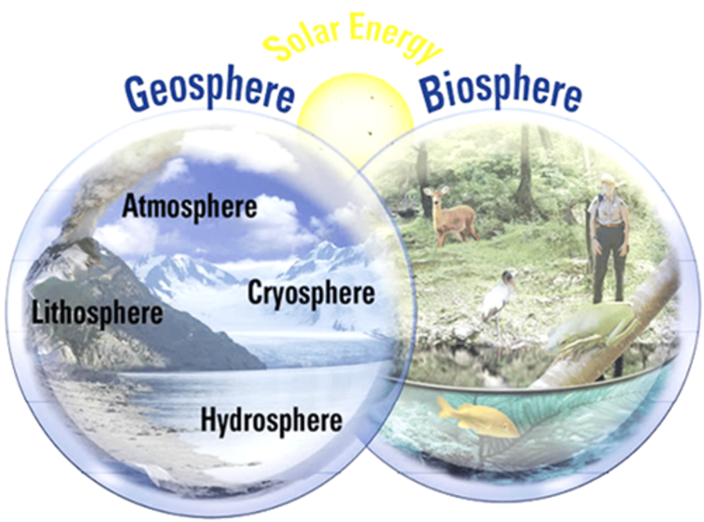 <p>lithosphere, hydrosphere, cryosphere, atmosphere</p>