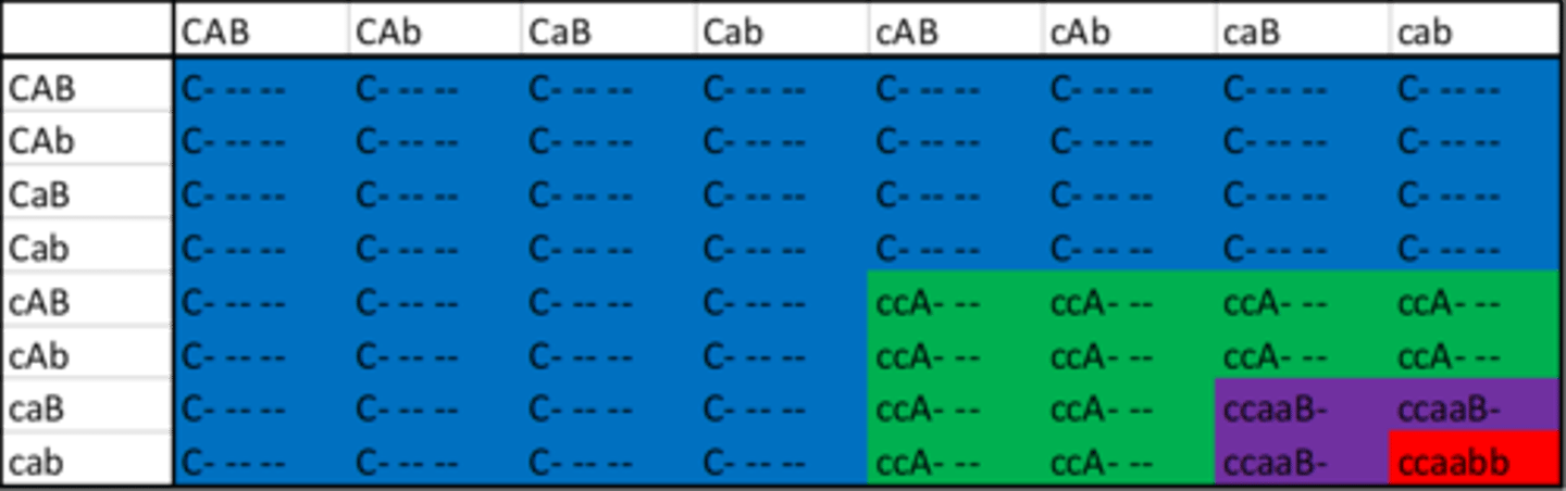 <p>C &gt; A &gt; B</p>