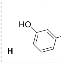 <p>Functional group</p>