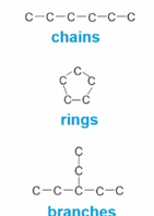 <p>Carbons can form chains, rings, and branches which are some ways that similar macromolecules can differentiate in their structure and therefore their function.</p>