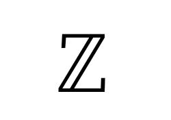 <p>what does <span>ℤ</span> mean</p>