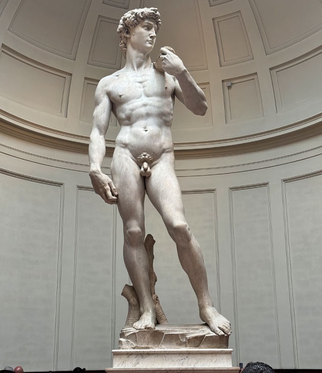 <p>Public ally commissioned colossus statue/sculpture, originally placed on the rooftop of Florence Cathedral</p>