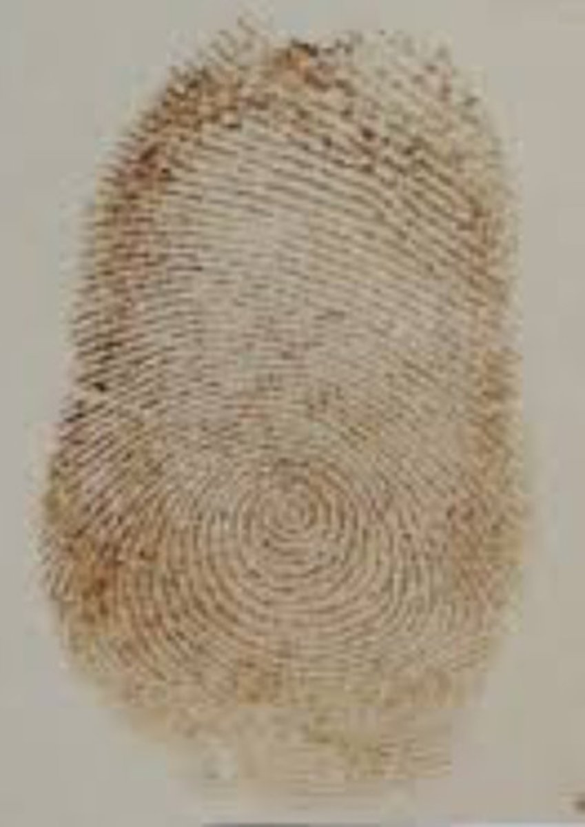 <p>a technique for visualizing latent fingerprints by exposing them to iodine vapors</p>