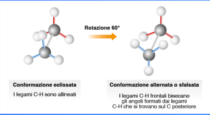 <ol><li><p>Conformazione eclissata - ha legami carbonio-idrogeno allineati</p></li><li><p>Conformazione alternata o sfalsata - ha legami carbonio-idrogeno sul carbonio frontale non allineati con i legami carbonio-idrogeno sul carbonio posteriore</p></li></ol><p>La forma sfalsata è più stabile perchè gli atomi di idrogeno sono più lontani fra loro che nella forma eclissata, minimizzando la loro repulsione. Ha quindi meno energia.</p>