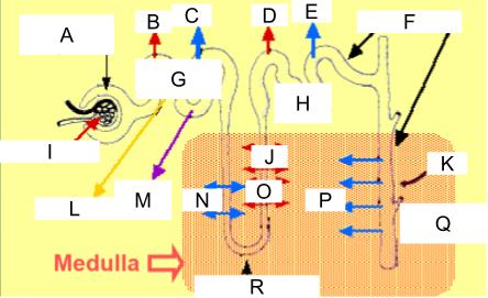 <p>What is Q?</p>