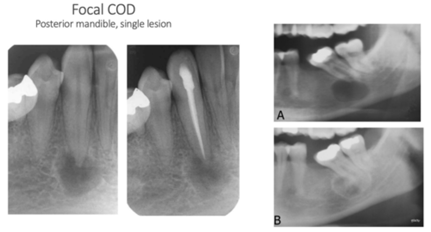<p>Different demographic</p>