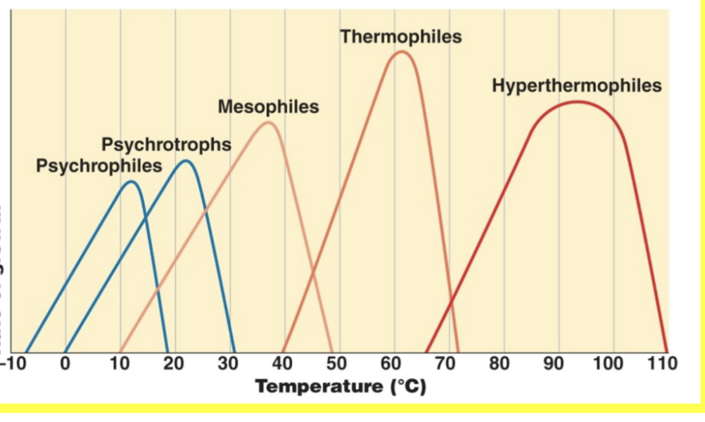 <ul><li><p>60s-110 <span>°C</span></p></li><li><p>90s <span>°C</span></p></li></ul><p></p>