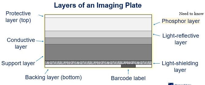 <p>Light-shielding layer of an imaging plate </p>