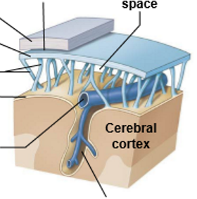 <p>Outside-inside</p>
