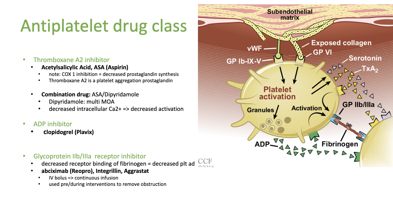 <p>How does Thromboxane A2 inhibitors work?</p>