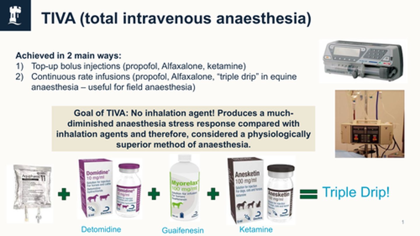<p>Total intravenous anaesthesia</p><p>2 ways:</p><p>- top-up boluses (propofol, alfaxalone, ketamine)</p><p>- continuous rate infusions (propofol, alfaxalone, triple drip in equine)</p><p></p><p></p>