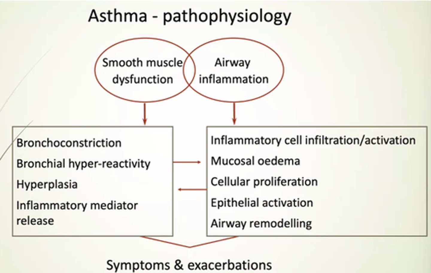 <p>- Inflammatory cell infiltration/activation.</p><p>- Mucosal oedema.</p><p>- Cellular proliferation.</p><p>- Epithelial activation.</p><p>- Airway remodelling.</p>