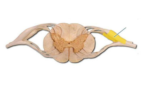 <p>What is this feature?</p>