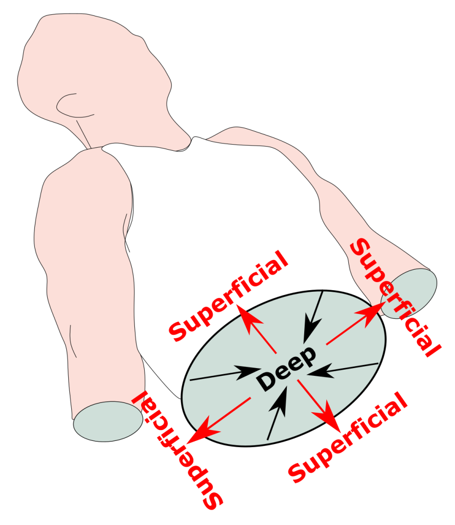 <p><strong>closer </strong>to the surface vs <strong>further </strong>from the surface</p>