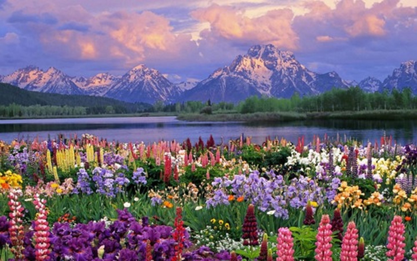<p>piàolìang</p><p>pretty</p>