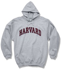 <p>sweatshirt</p>