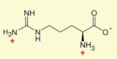 <p>3 C’s for a string, N’s look like an anchor</p>