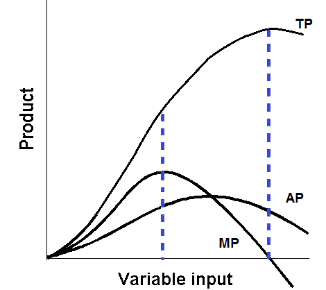 Fig. 1 The production function graph