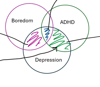 <p>what is shaded in green?</p>