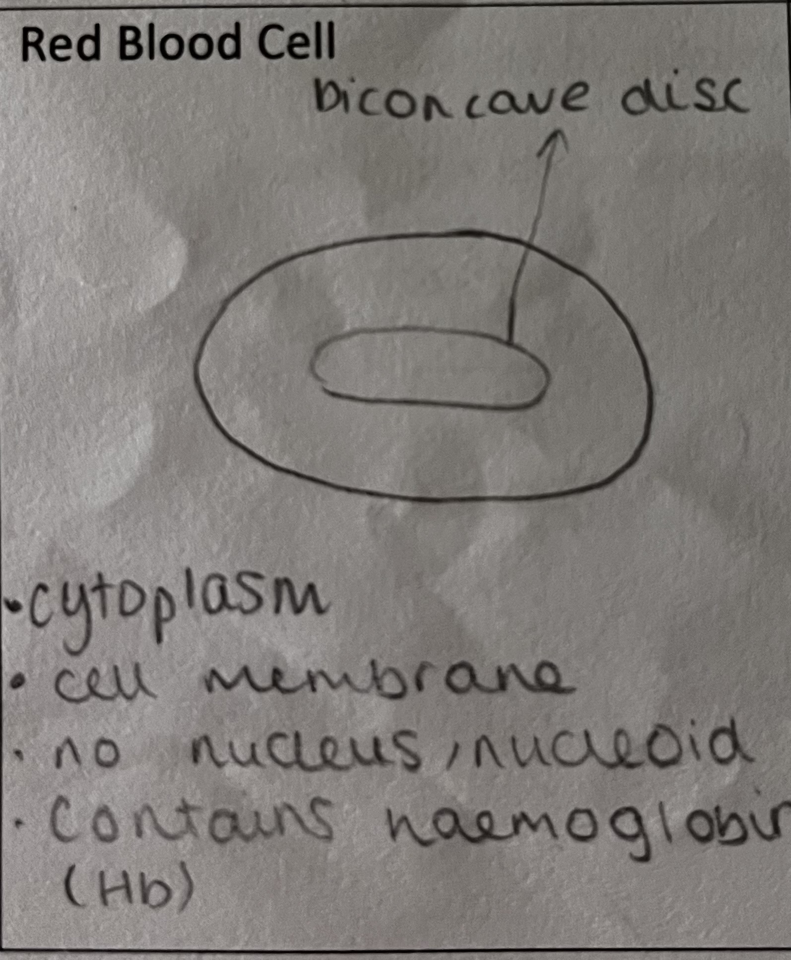<p>What is the role of the red blood cell</p>