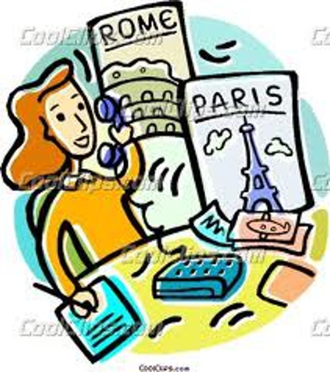 <p>travel agent</p>