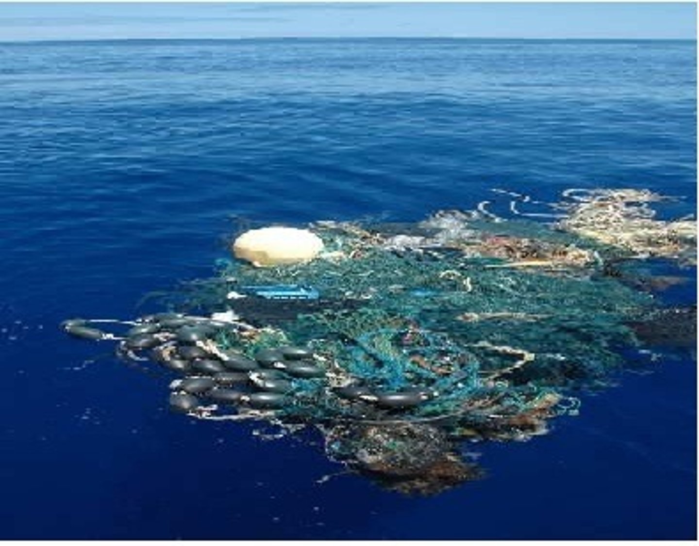 <p>a gyre of marine debris particles in the central North Pacific Ocean discovered between 1985 and 1988.</p>