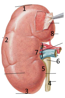 <p>Co to numery od 1 do 8</p>