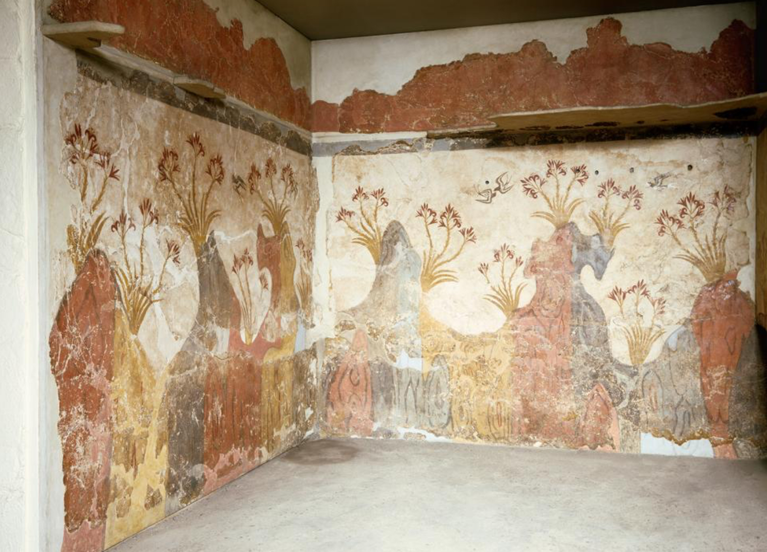 <p>Year and culture</p>