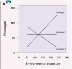 <p>type of gene-environment interactions and effects on health risk </p>