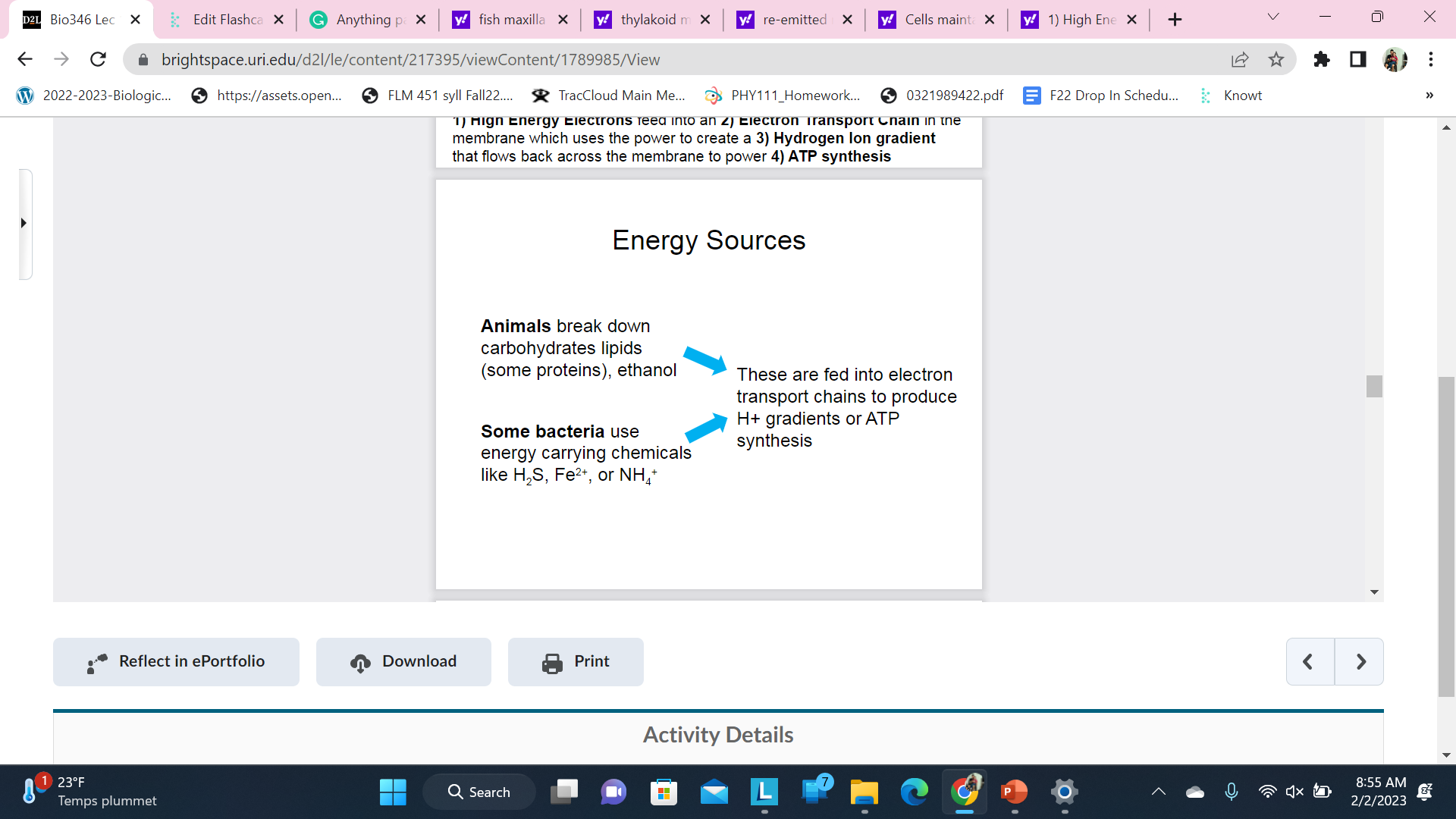 knowt flashcard image