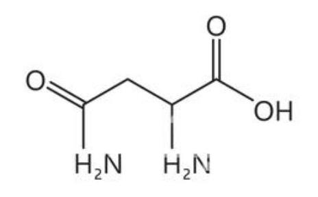 <p>What amino acid is this?</p>