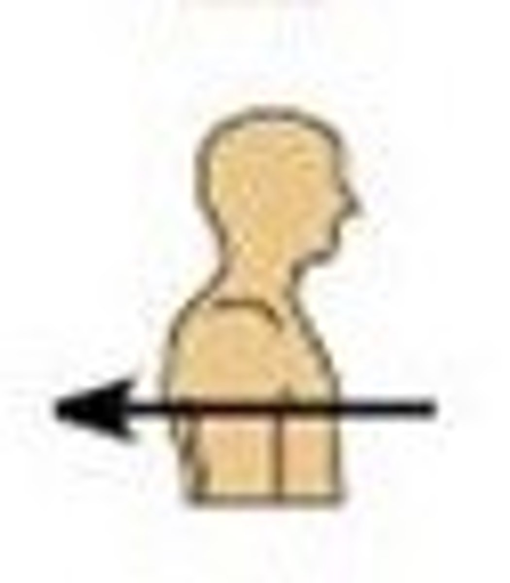 <p>Toward or at the backside of the body; behind</p>