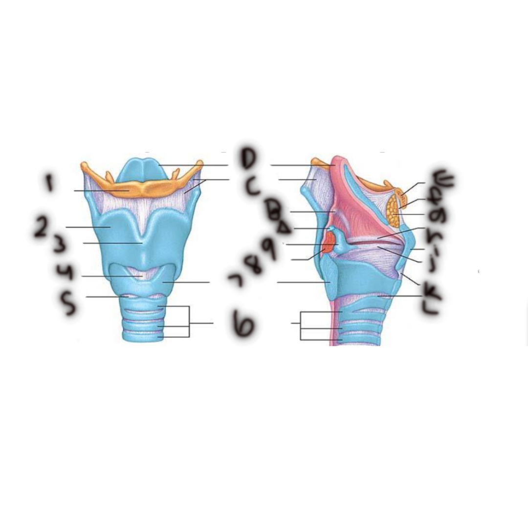 <p>1</p>
