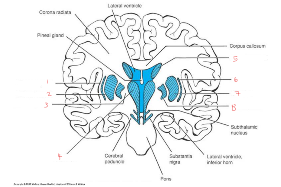 <p>1</p>