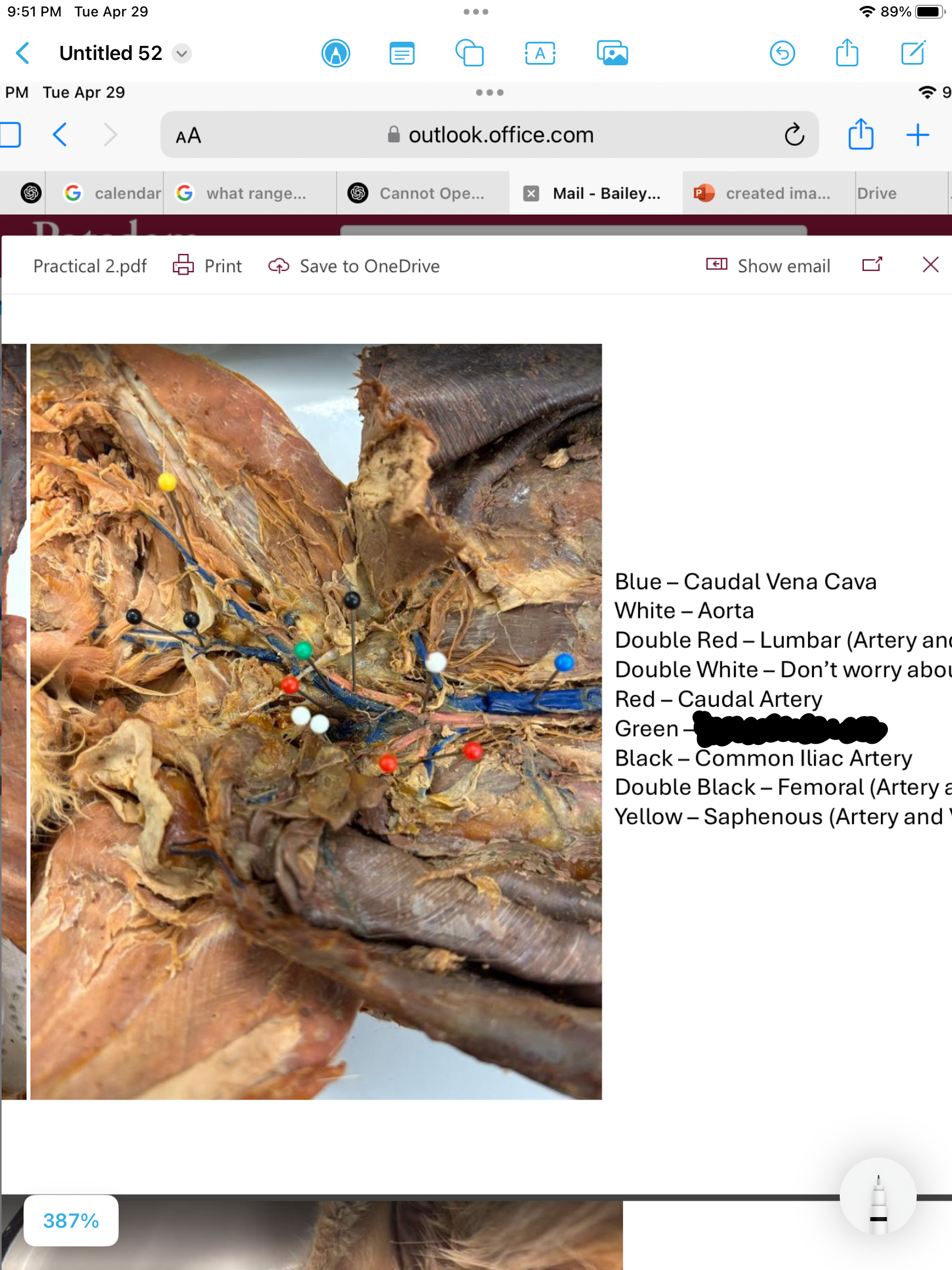 <p>label the area</p>