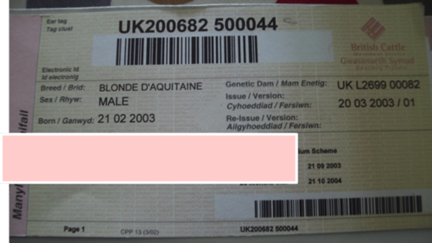 <p>-Due to BSE</p><p>-Needed to track movements, ID, dam and death</p>