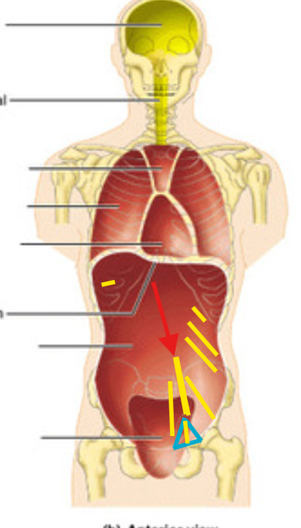 <p>What is this structure?</p>