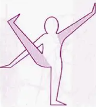 <p>What combined movement pattern is shown on the picture?</p>