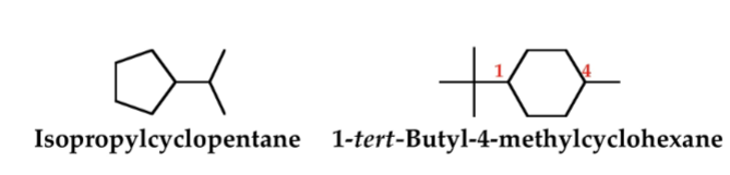 <p>A cyclic hydrocarbon in which all carbons of the ring are saturated.</p>