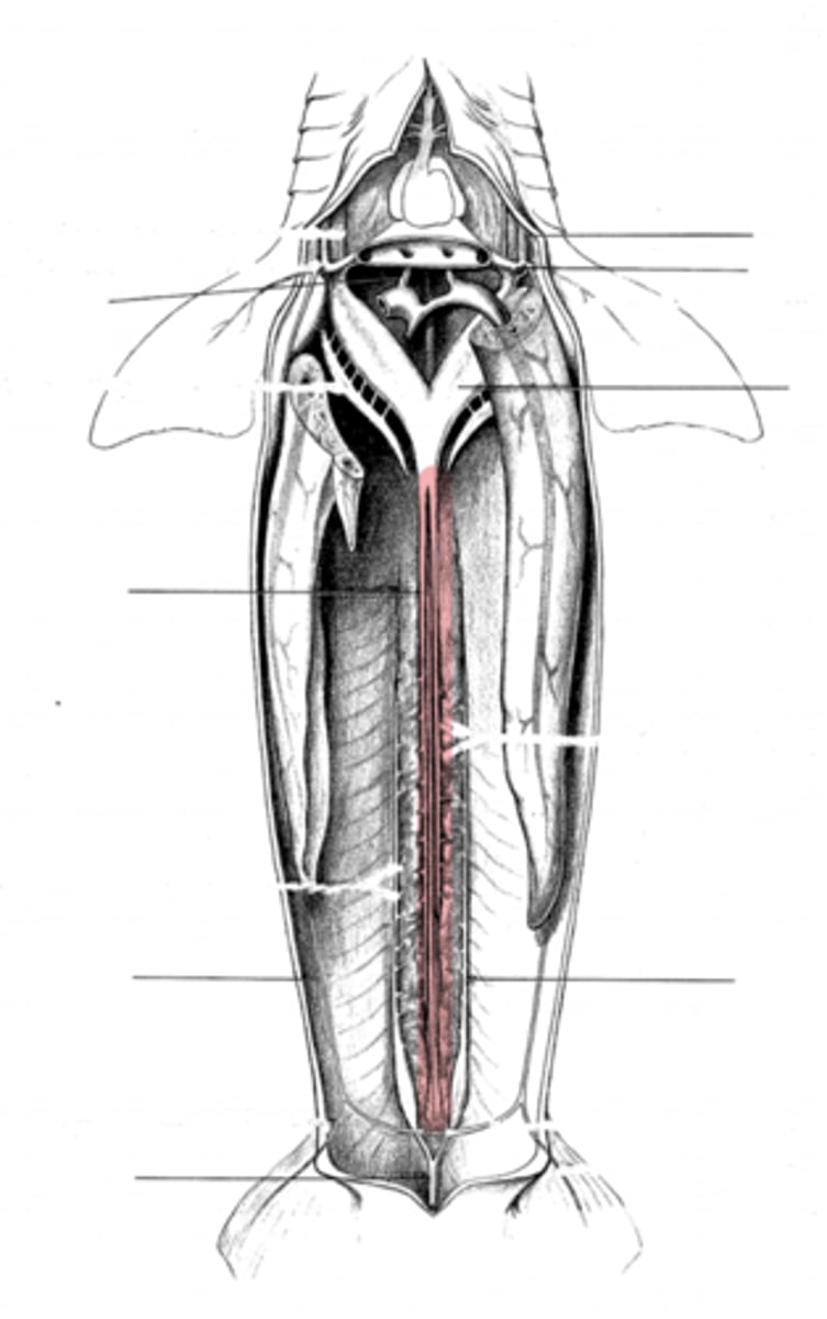 <p>what is this?</p>