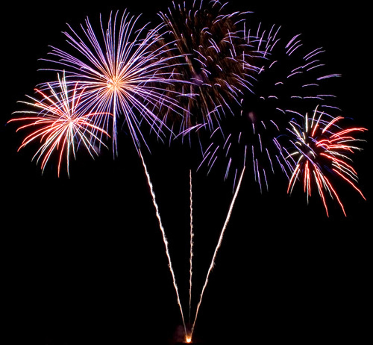<p>fireworks (rockets)</p>