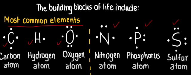 <p>These are the elements that make up 96% of living organisms, and these include: Carbon (C), Hydrogen (H), Nitrogen (N), oxygen (O), Phosphorus (P), and sulfur (S).</p><p>These elements are considered essential building blocks of all biological molecules and are critical for cellular process and the structure and function of all life.</p>