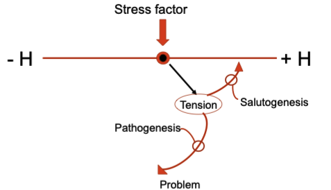 <p><strong>-H</strong>: poor health</p><p><strong>+H</strong>: good health</p><p><strong>Stress factor</strong>: what happens when you face this st (personal factor or environmental factor) stressor?</p><p><strong>tension</strong>: some people will have the assets they need to help (saluto), others won’t (patho)</p>