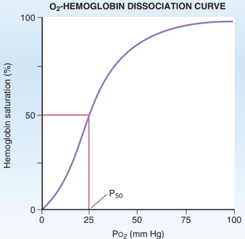 <p>O2 binding to Hb as function of PO2</p><p>Sigmoidal Shape: Positive cooperativity</p><ul><li><p>O2 binding increases affinity of heme to bind additional O2</p></li></ul><p>P50: PO2 of 50% Hb saturation</p>