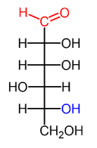 <p>name this monosaccharide:</p><p>ALDOSE ++-+</p>
