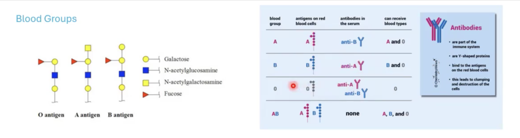<p>for example for people with blood group A, they have developed anti-B antibodies (antibodies that will attack blood that has B antigen).</p>