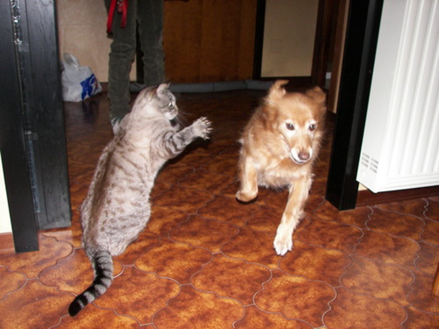 <p>spontaneous withtout premeditation</p>