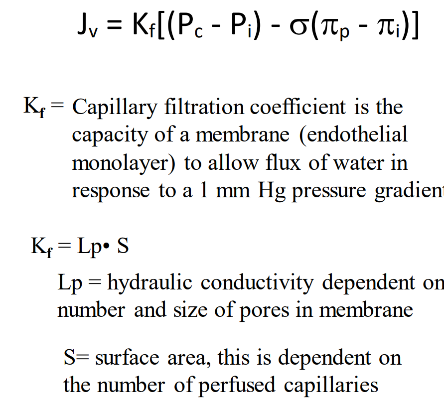 <p>Capillary filtration coefficient is the capacity of a membrane (endothelial monolayer) to allow flux of water in response to a 1 mm Hg pressure gradient</p>